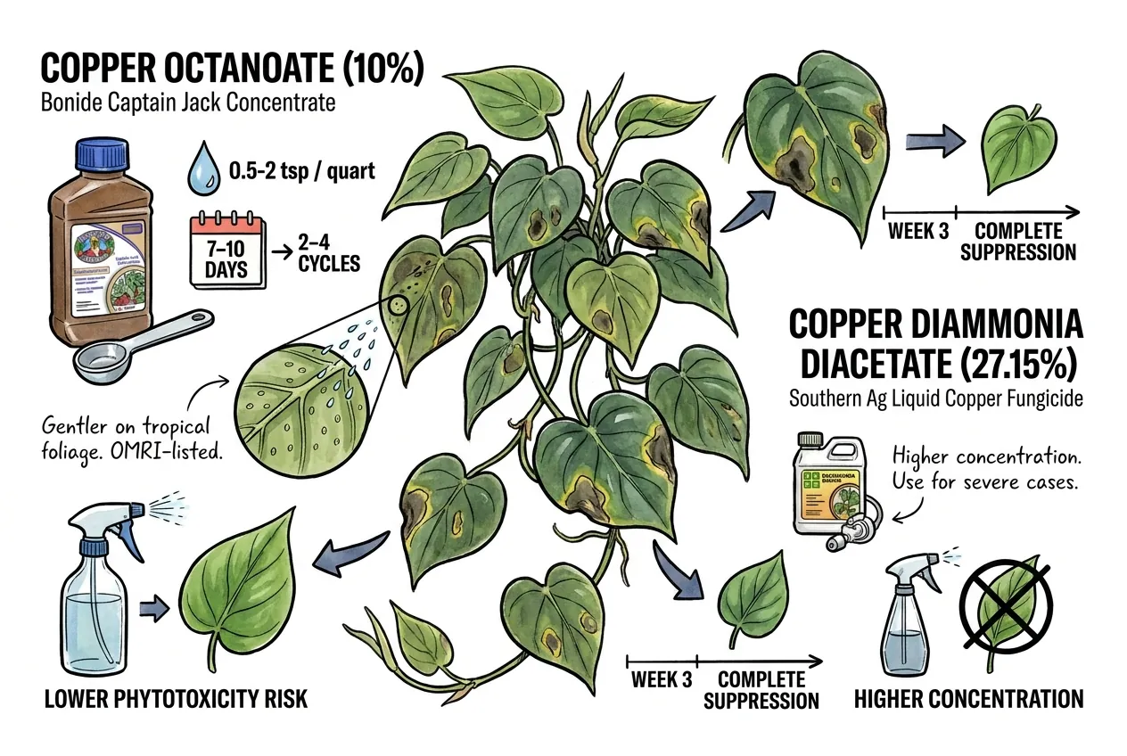 Copper octanoate concentrate bottle beside spray tank and philodendron