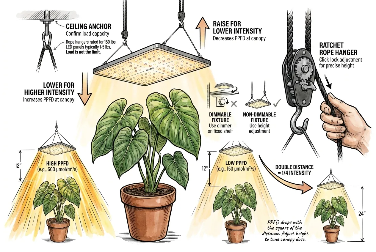 Inverse-square falloff of PPFD as a grow light is raised above a plant