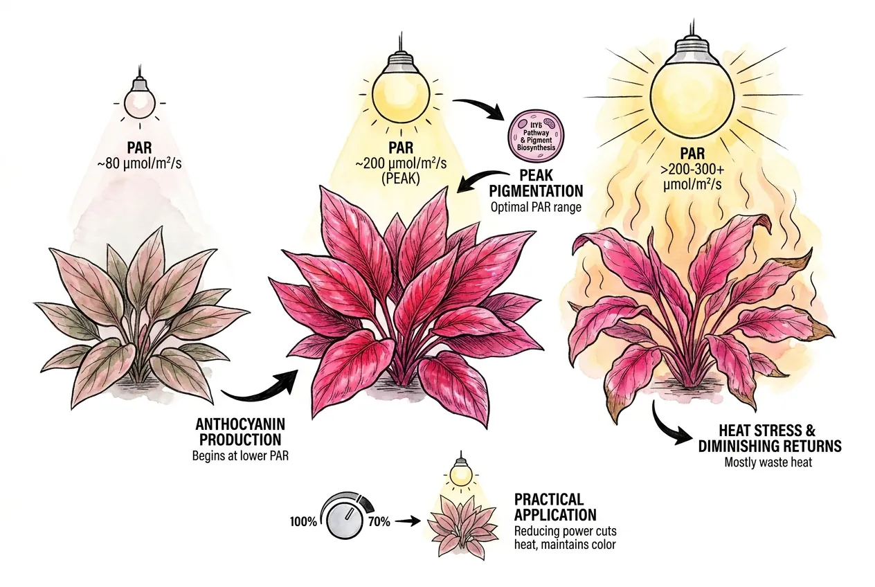 Light intensity meter at substrate level under planted-tank LED